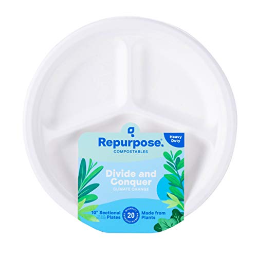 Repurpose Compostable Dinner Plates - Plant-Based, Cruelty-Free, 10 Inch, 20 Plates per Pack