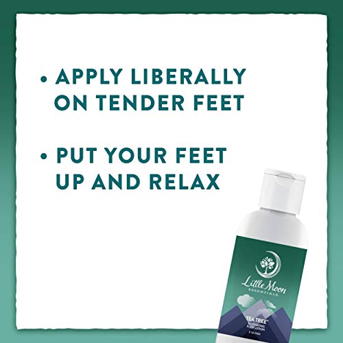 Little Moon Essentials Foot Lotion - Moisturizes & Soothes Dry Feet, Tea Tree Scent - 4 oz.