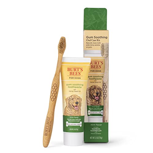 Burt's Bees for Pets Dental Care Kit - Gum Soothing, 99.5% Natural Toothpaste & Bamboo Brush