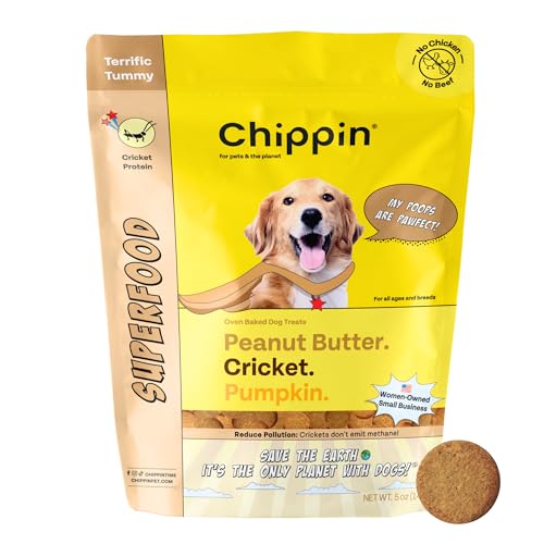 Chippin Cricket Peanut Butter Pumpkin Dog Treats - High Protein, Gut Health Support, 5oz