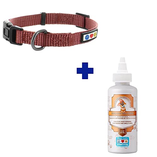 Pawtitas Pet Care Bundle - Durable Dog Collar & Natural Ear Cleaner for Medium Dogs