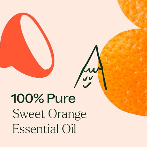 Plant Therapy Sweet Orange Essential Oil - Energizing Aroma, Natural Antioxidants - 10 mL