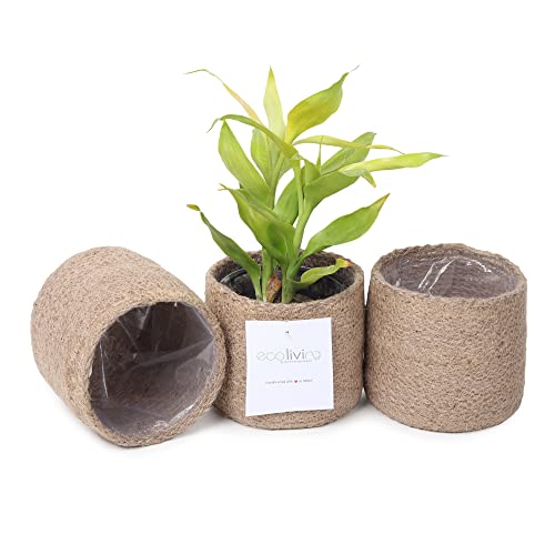 Eco Living Jute Planter Basket Set - Handcrafted Natural Jute for Indoor/Outdoor Use - 3 Pack