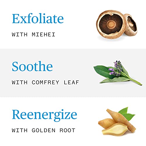 Ursa Major Milky Cleanser - Hydrating, Gentle Exfoliation for Sensitive Skin - 3.7oz