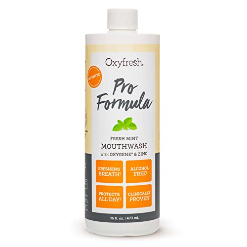 Oxyfresh Pro Formula Mouthwash - All-Day Fresh Breath & Healthy Gums, Alcohol-Free - 16oz