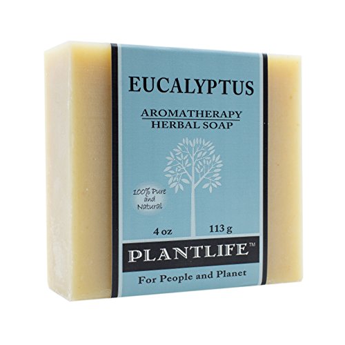 Plantlife Eucalyptus Bar Soap - Moisturizing, Handcrafted with Plant-Based Ingredients - 4oz