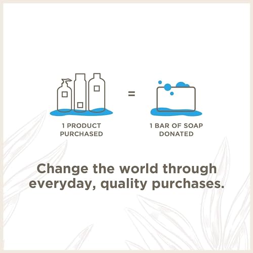 Soapbox Liquid Hand Soap - Moisturizing Coconut Milk & Sandalwood, Vegan, 12oz Pump (3-Pack)