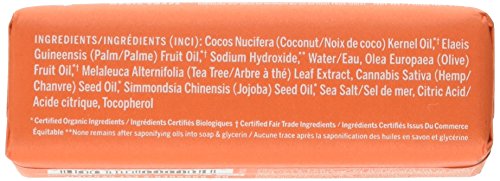 Dr. Bronner's Pure-Castile Body Soap - Antiseptic Tea Tree Oil, Gentle Cleanser - 5 oz