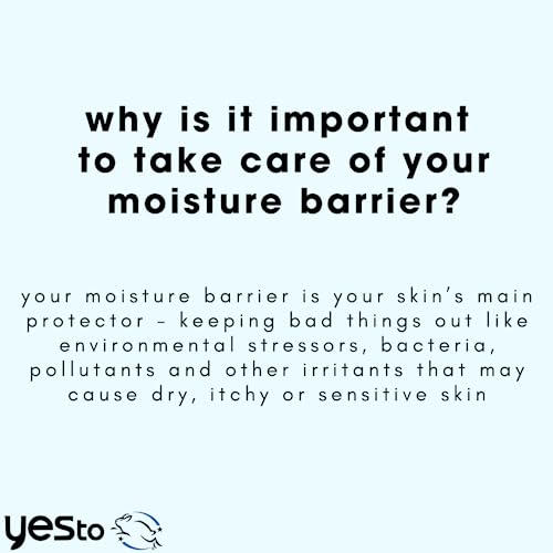 Yes To Moisturizer - Boosts Hydration, Nourishes with Hyaluronic Acid & Cucumber Extract - 1.7 Fl Oz