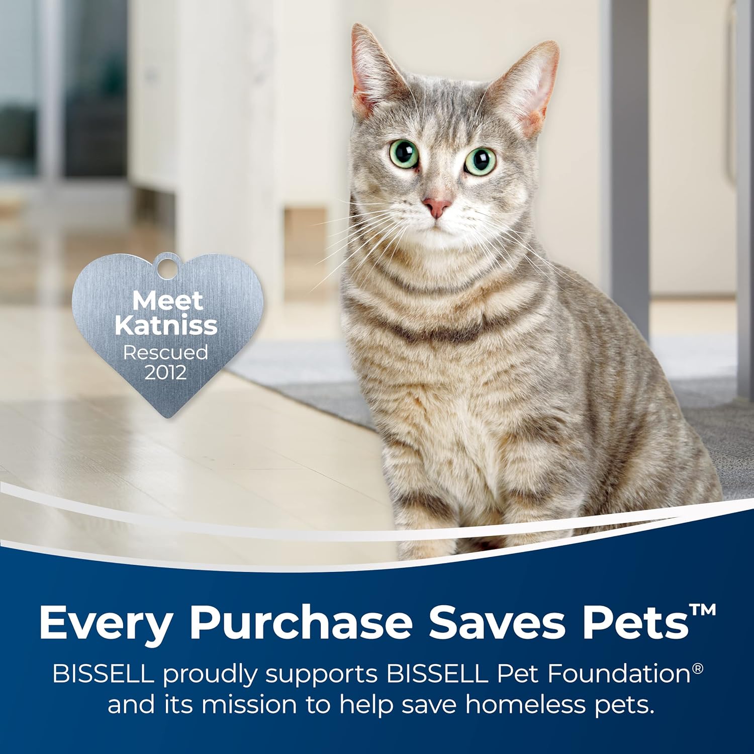 Bissell Carpet Cleaner - Tough Pet Stain Removal, Biodegradable Formula, Fresh Citrus Scent - 48oz