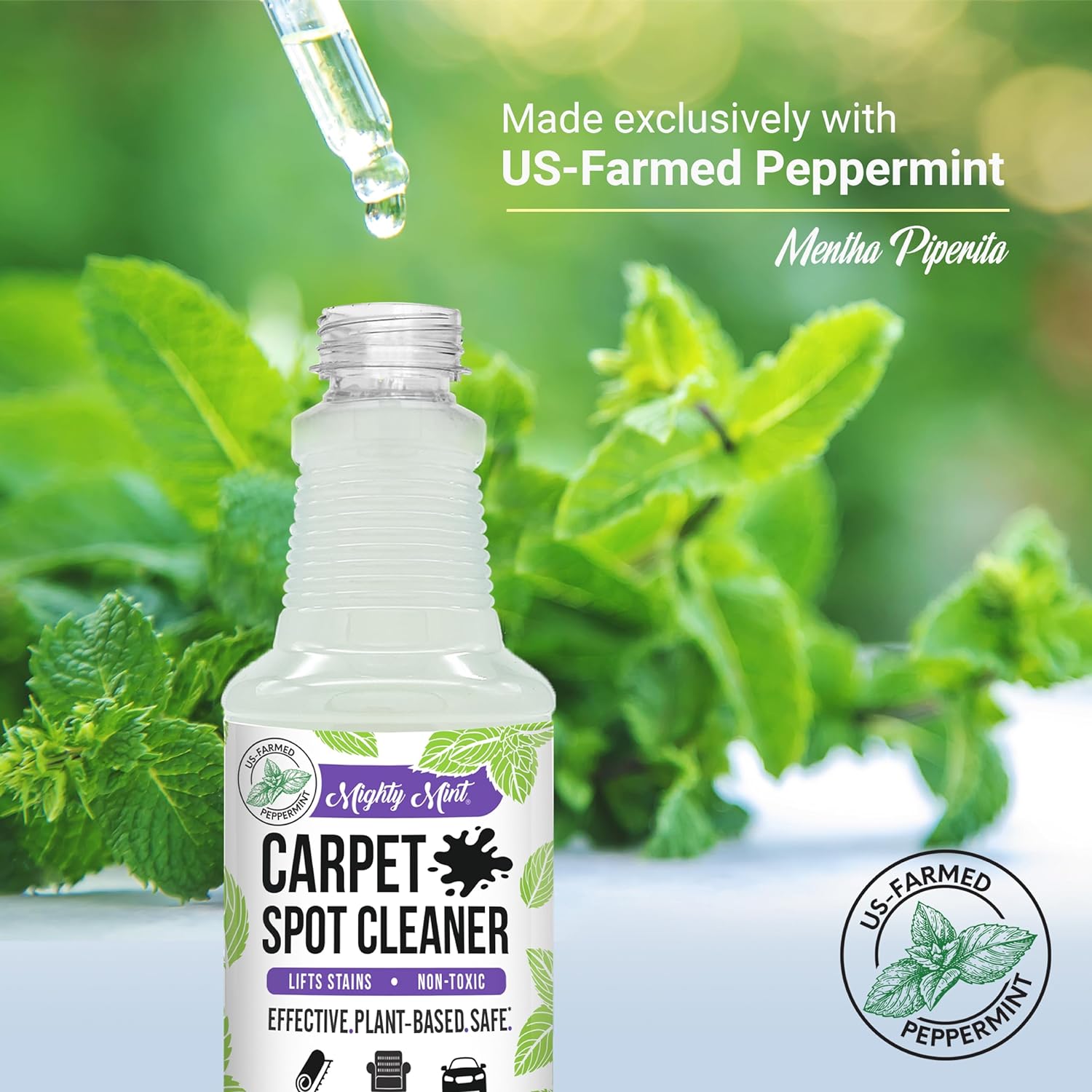 Mighty Mint Carpet Cleaner - Plant-Based Stain Remover, Natural Peppermint, 16oz