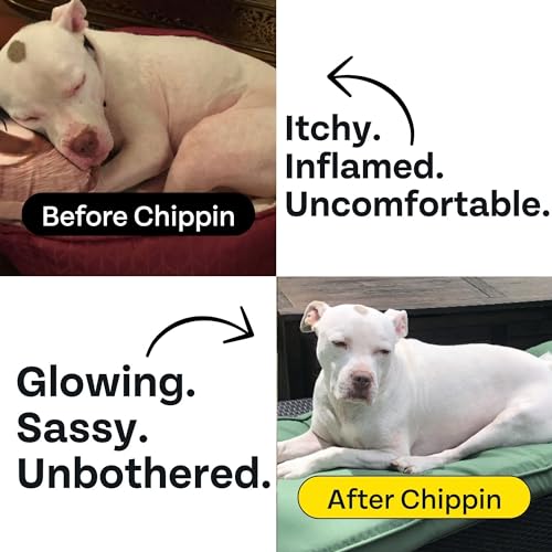 Chippin Dog Food - High Protein, Gut Health Formula, Chicken-Free, Made with Crickets - 10.5 lbs