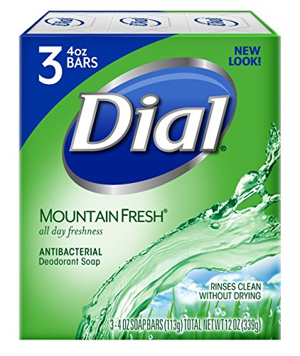 Dial Antibacterial Bar Soap - Fresh Mountain Scent, Gentle on Skin - 4oz, 3 Bars