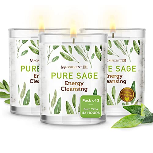 Magnificent 101 Pure Sage Candles - Energy Cleansing, Clarity & Intention Setting - 3.5oz x3