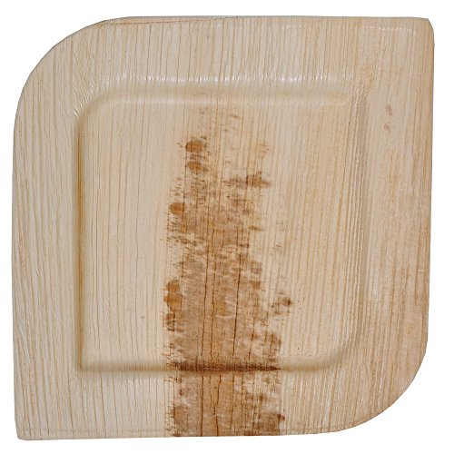 Atmos Green 10.5" Palm Leaf Dinner Plates - 100% Biodegradable, Microwave Safe - 100 Pack