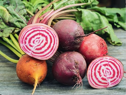 Dr. Cowan's Garden Superfood - Organic Three Beet Powder, Nutrient-Rich, Non-GMO - 50 Servings