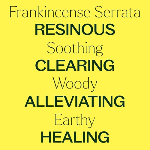 Plant Therapy Frankincense Serrata Essential Oil - Promotes Clear Breathing, 100% Pure - 10 mL