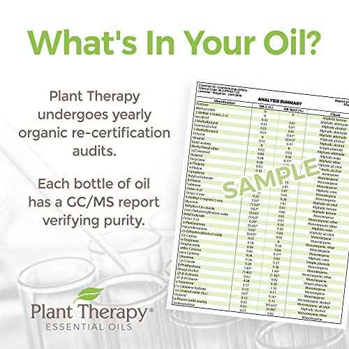 Plant Therapy Organic Patchouli Essential Oil - 100% Pure, Therapeutic Grade - 10 mL