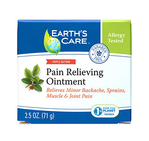 Earth's Care Joint & Muscle Pain Relief Ointment - Natural Camphor & Menthol, 2.5 oz