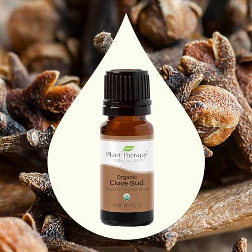 Plant Therapy Organic Clove Bud Essential Oil - 100% Pure, USDA Certified, 10mL