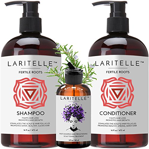 Laritelle Organic Hair Care Set - Fortifying & Strengthening, Ayurvedic Ingredients - 8oz