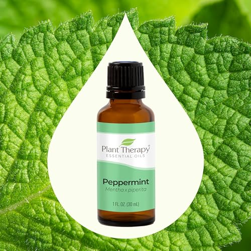 Plant Therapy Peppermint Essential Oil - Promotes Alertness & Clarity, 100% Pure - 30 mL