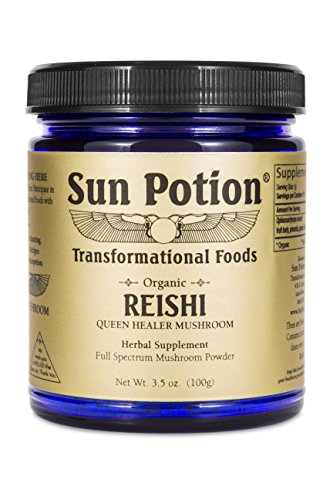 Sun Potion Reishi Mushroom Powder - Enhances Well-Being, Supports Immune Health - 100g