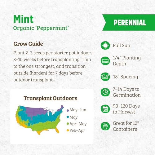 Back to the Roots Mint 'Peppermint' Seeds - Organic & Non-GMO Flavor for Culinary Use - 125mg