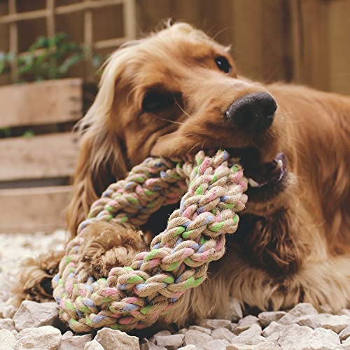 Beco Hemp Rope Jungle Ring Dog Toy - Tough Chew & Tug, Climate Neutral Certified - 10in