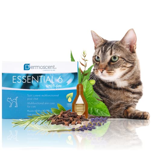 Essential 6 Cat Shampoo - Natural Skin Care for Dandruff & Hair Loss - 4 Pipettes of 0.6ml