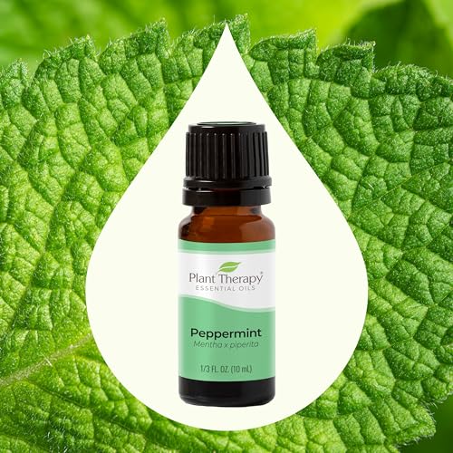 Plant Therapy Peppermint Essential Oil - Promotes Clarity & Digestion, 100% Pure - 10 mL