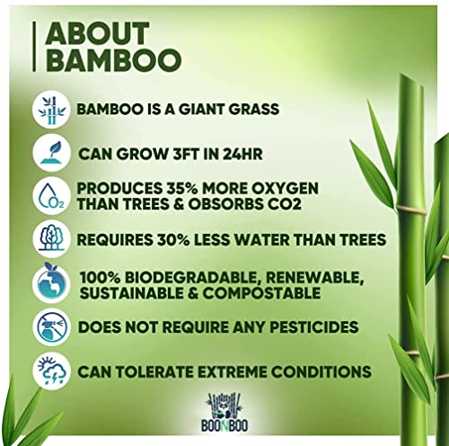 BOONBOO Bamboo Paper Straws - PFAS-Free, Durable & Bendable, Individually Wrapped - 100 Counts