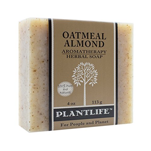 Plantlife Green Tea Bar Soap - Moisturizing, Handcrafted with Plant-Based Ingredients - 4oz