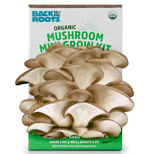 Back to the Roots Mini Mushroom Grow Kit - Organic Harvest in 10 Days, Indoor Gardening - 2 Crops