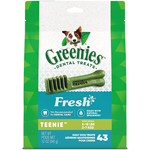 Greenies TEENIE Dog Treats - Natural Dental Care, Mint Flavor, Vet Recommended - 12oz (43 Treats)