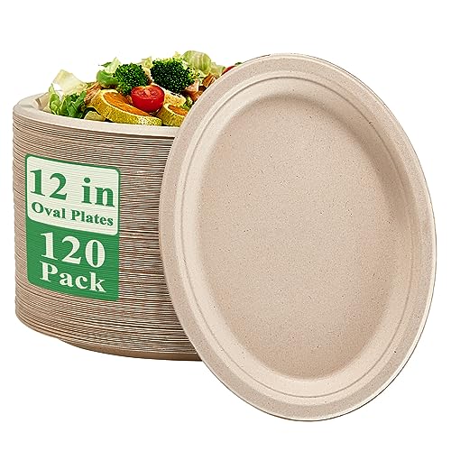 Vplus Compostable Oval Paper Plates - Heavy-Duty, Biodegradable, 12 Inch, 120 Pack