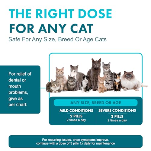 BestLife4Pets Cat Dental Care - Natural Bad Breath & Plaque Control, 400 Easy Pills