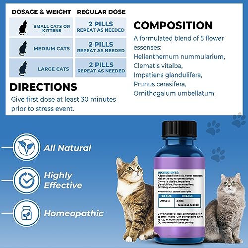 BestLife4Pets Pet Supplement - Natural Calming for Cat Anxiety Relief, 400 Odorless Pills