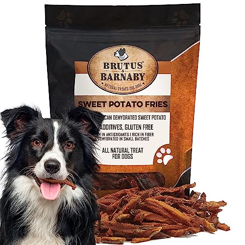 Brutus & Barnaby Dog Treats - Dehydrated Sweet Potato Fries, Grain & Gluten Free - 14oz