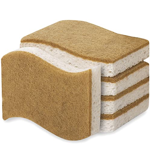 Foamstar Natural Dish Sponges - Non-Scratch, Odor-Resistant, Biodegradable - 5 Pack