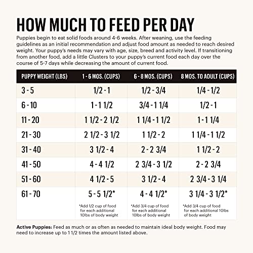 The Honest Kitchen Dry Dog Food - Human Grade, Protein-Rich, DHA Boosted - 20 lb Bag