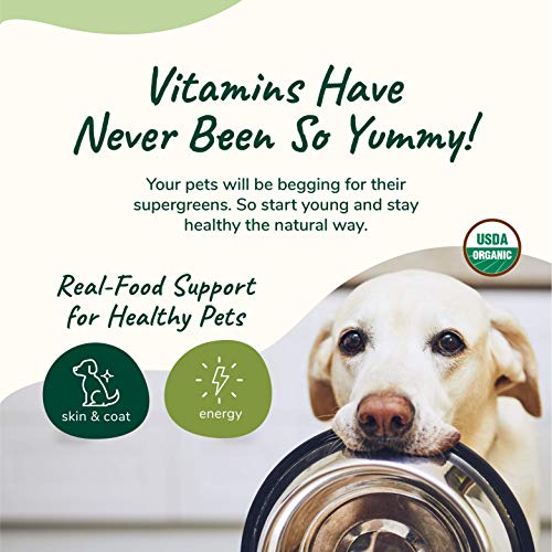 kin+kind Organic Multivitamin for Dogs & Cats - Promotes Healthy Skin, Natural Superfoods - 8oz