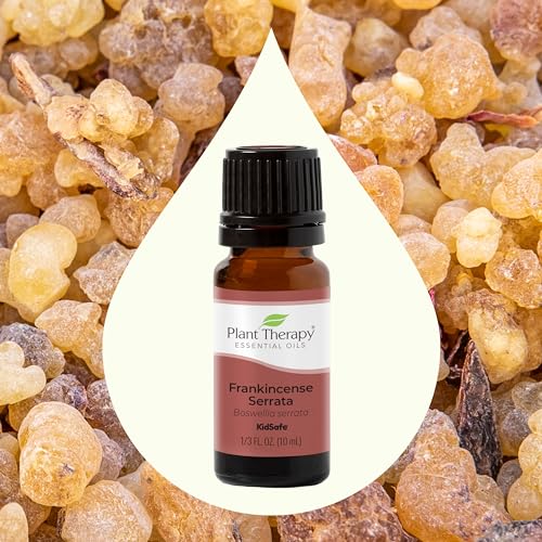 Plant Therapy Frankincense Serrata Essential Oil - Promotes Clear Breathing, 100% Pure - 10 mL