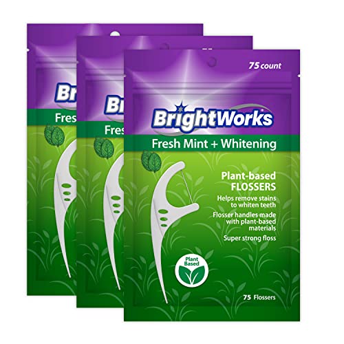 BrightWorks Dental Flossers - Fresh Mint Flavor, Stain Removal, Plant-Based Handles - 75 Count