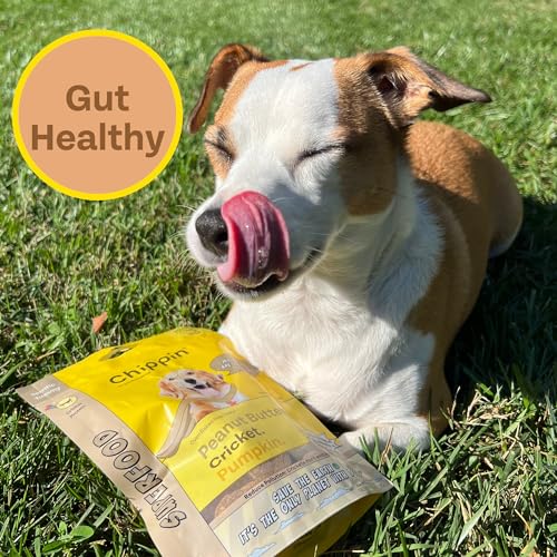 Chippin Cricket Peanut Butter Pumpkin Dog Treats - High Protein, Gut Health Support, 5oz