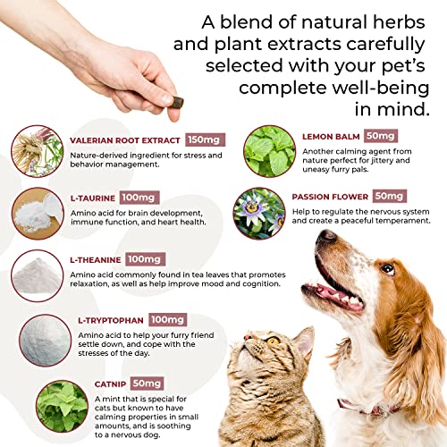 Real Mushrooms Pet Supplement Bundle - Immune & Relaxation Support, Vegan, Non-GMO - 120ct