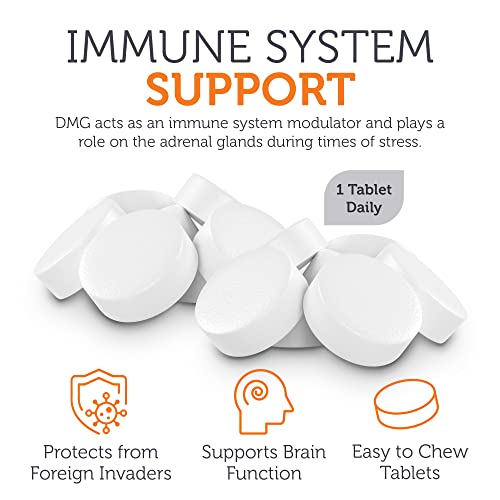 Zahler DMG Nootropic Supplement - Immune Support & Endurance, Kosher 90 Chewable Tablets