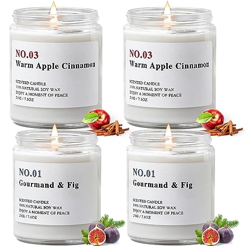 Candle Set - Natural Soy Wax, Long Lasting Aromatherapy, Cinnamon Apple & Fig & Fir - 28 oz