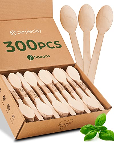 Wooden Disposable Spoons - Sturdy, Compostable, FSC-Certified Birchwood - 300 Count Set