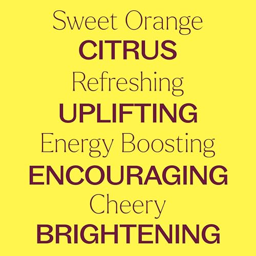 Plant Therapy Sweet Orange Essential Oil - Energizing Aroma, Natural Antioxidants - 10 mL